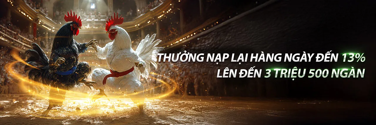 Khuyến mãi độc quyền 8day năm 2026